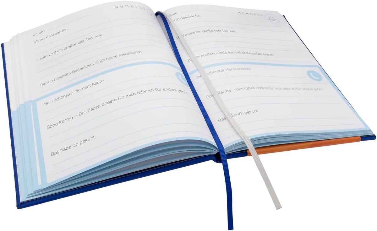 Idena 5-Minuten-Tagebuch blau, 160 Seiten, 100 g/m²