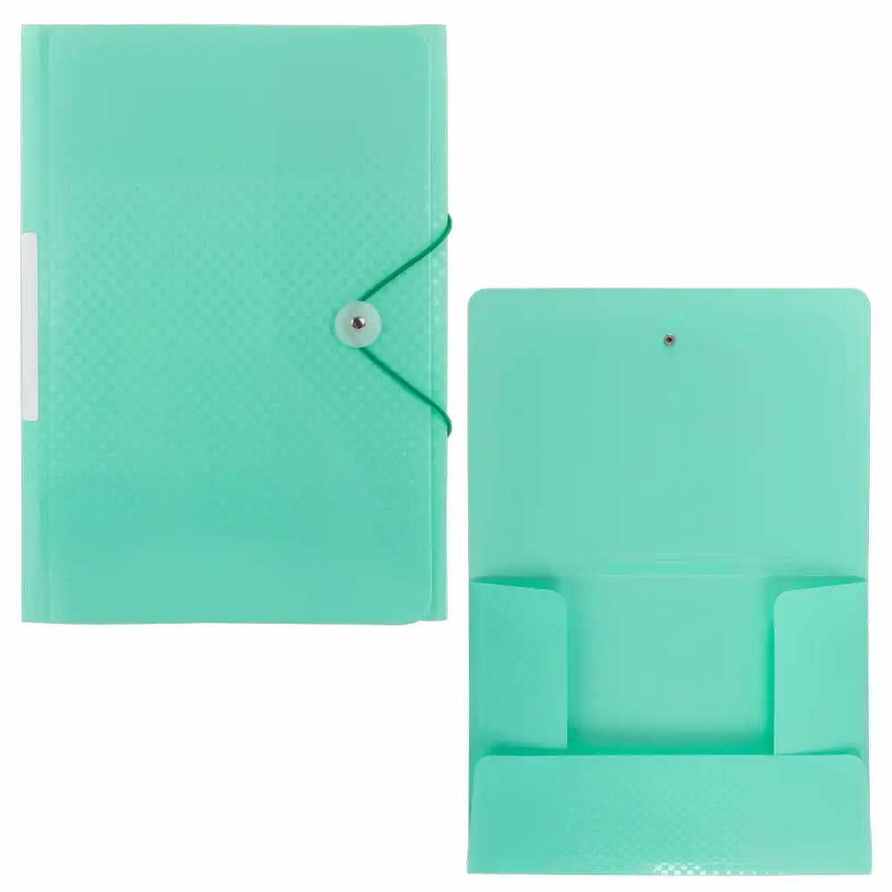 Idena Sammelmappe PP mit Gummizugverschluss und Rückenschild pastell mint DIN A4
