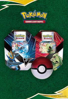 Pokémon Tin-Boxen - Peer Online Shop