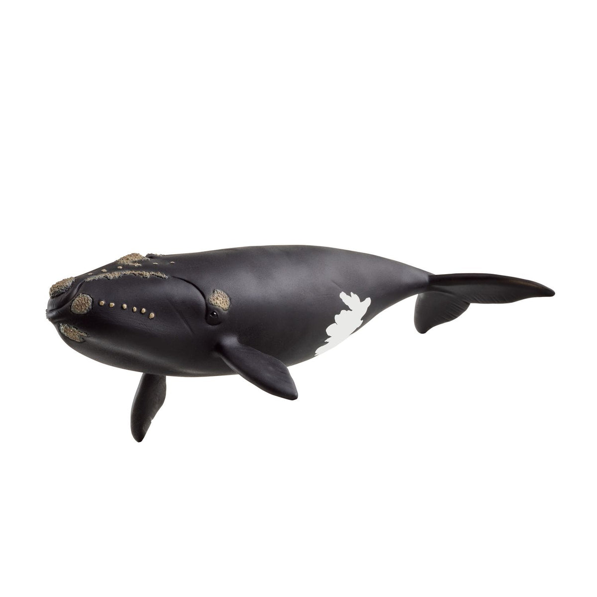 Nordatlantischer Glattwal von Schleich - Majestätische Meeresriesen-Spielfigur