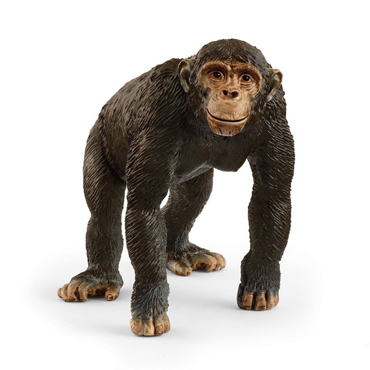 Schimpanse Wild Life - Schleich Spielfigur für Abenteuer & Fantasie