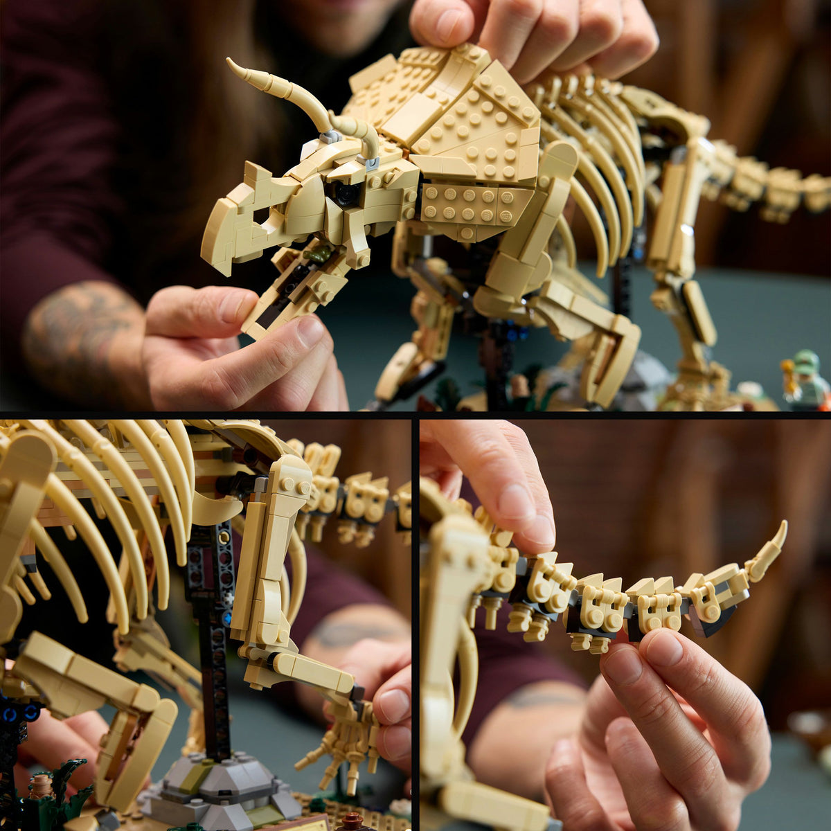 LEGO Jurassic World 77985 Triceratops-Fossil – 1.154 Teile