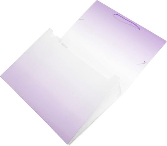 Idena Fächermappe PP 12 Fächer DIN A4 weiß/lila Color Ed.