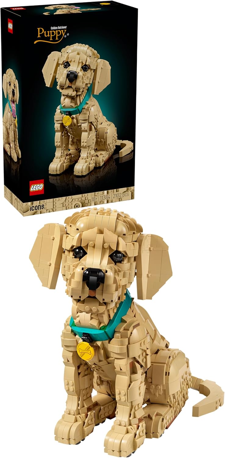 LEGO Icons 11384 Golden Retriever Welpe – Modellbau